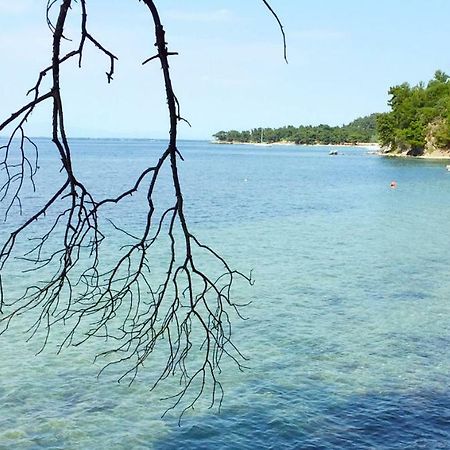 Villa Lily Skala Rachoni  Bagian luar foto