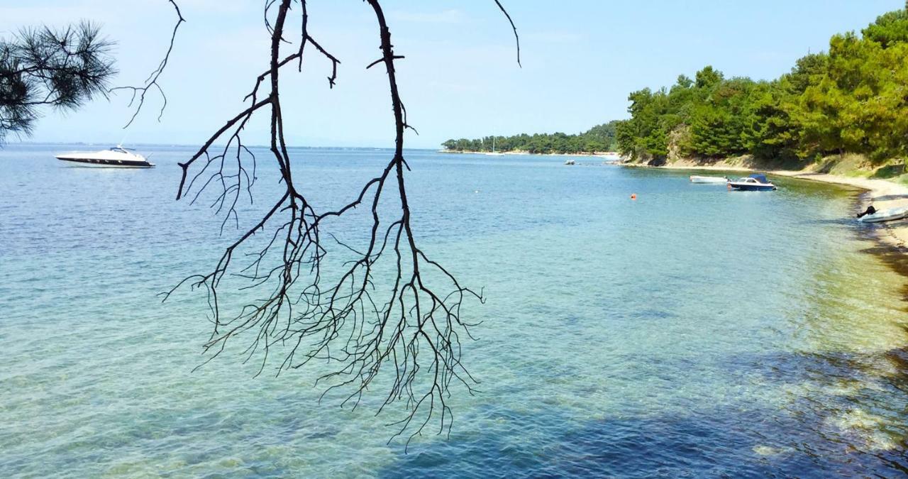 Villa Lily Skala Rachoni  Bagian luar foto